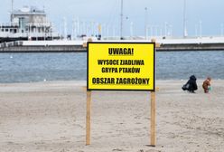 To będzie kolejna epidemia? Dr Grzesiowski o ptasiej grypie