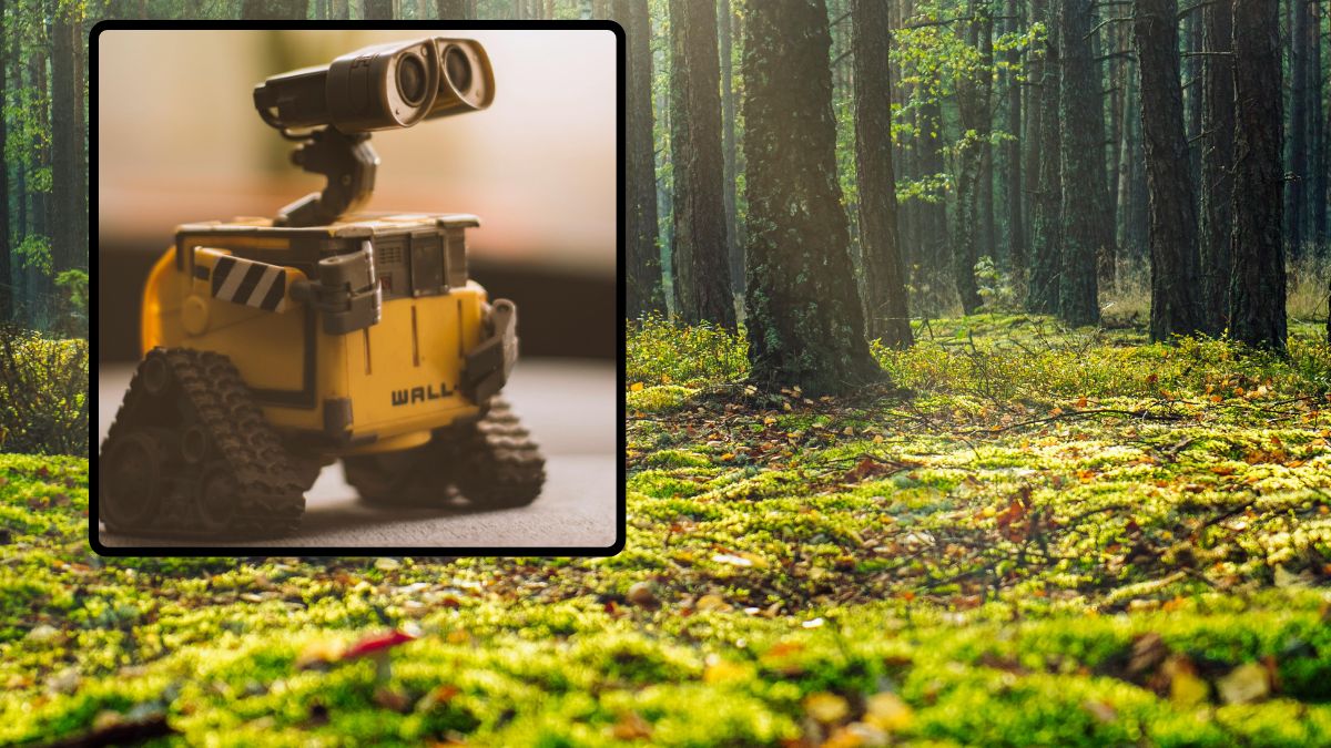 Polski robot będzie zbierał kleszcze i inwentaryzował las