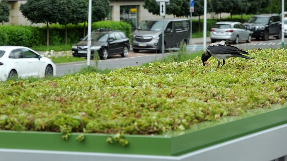 źródło: Warszawski Transport Publiczny