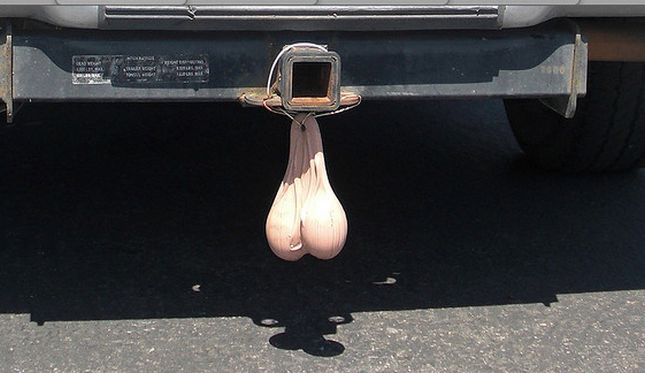 Truck Nuts