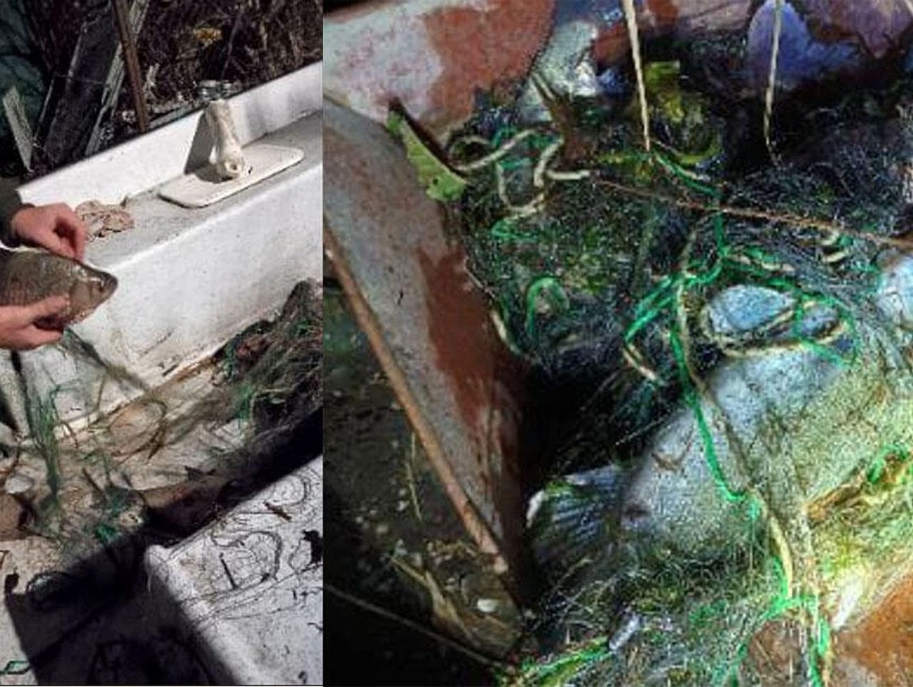 Nowy Duninów: Łowił ryby zabronionymi metodami. Mężczyzna zatrzymany