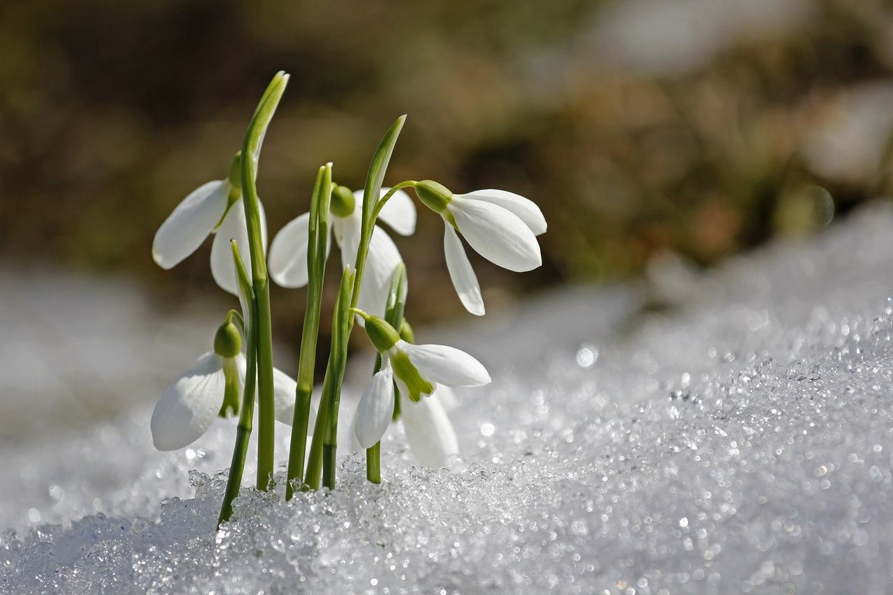 Początek kwietnia nie rozpieszcza nas pod względem temperatur 