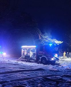 Pożar w Zagajach. Tragiczne odkrycie służb