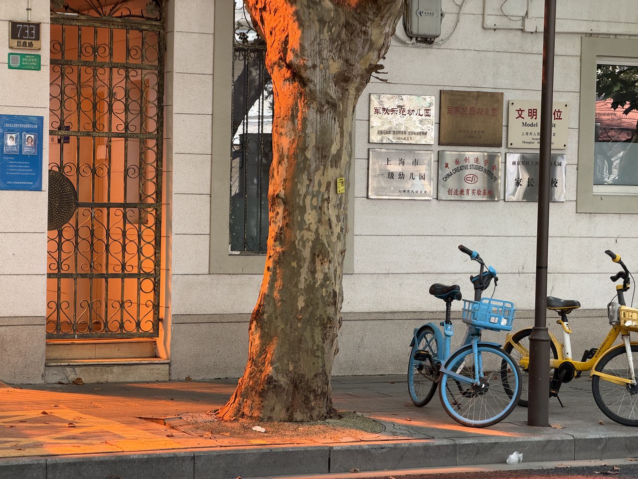 iPhone 18 Pro Max - przykładowe zdjęcie