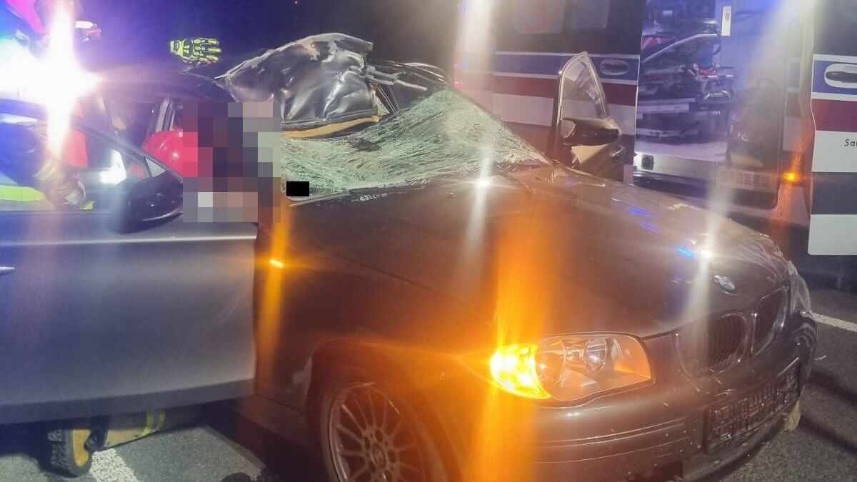 rozbity samochód, wypadek z łosiem