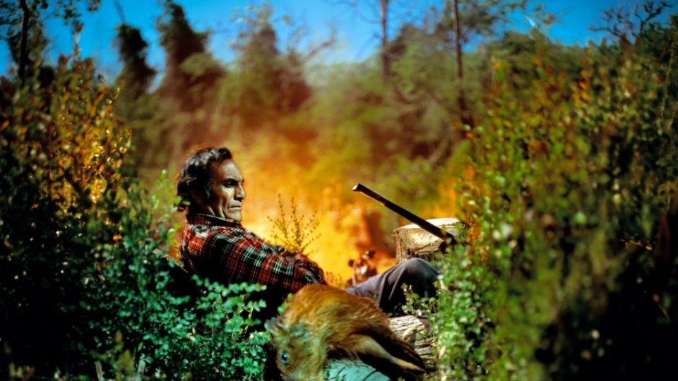 Kategoria dla młodych fotografów w Sony World Photography Awards 2012 1