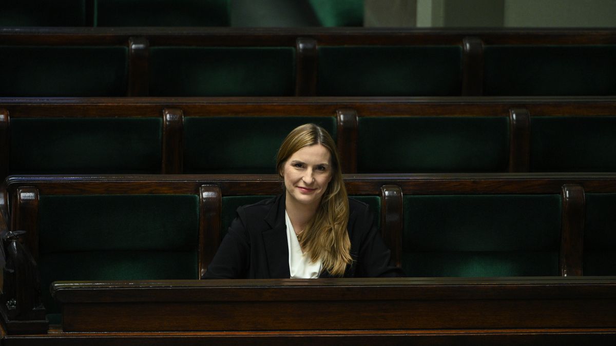 "Nikt tak nie mówi". Z SAFE nie można kupić broni z USA?