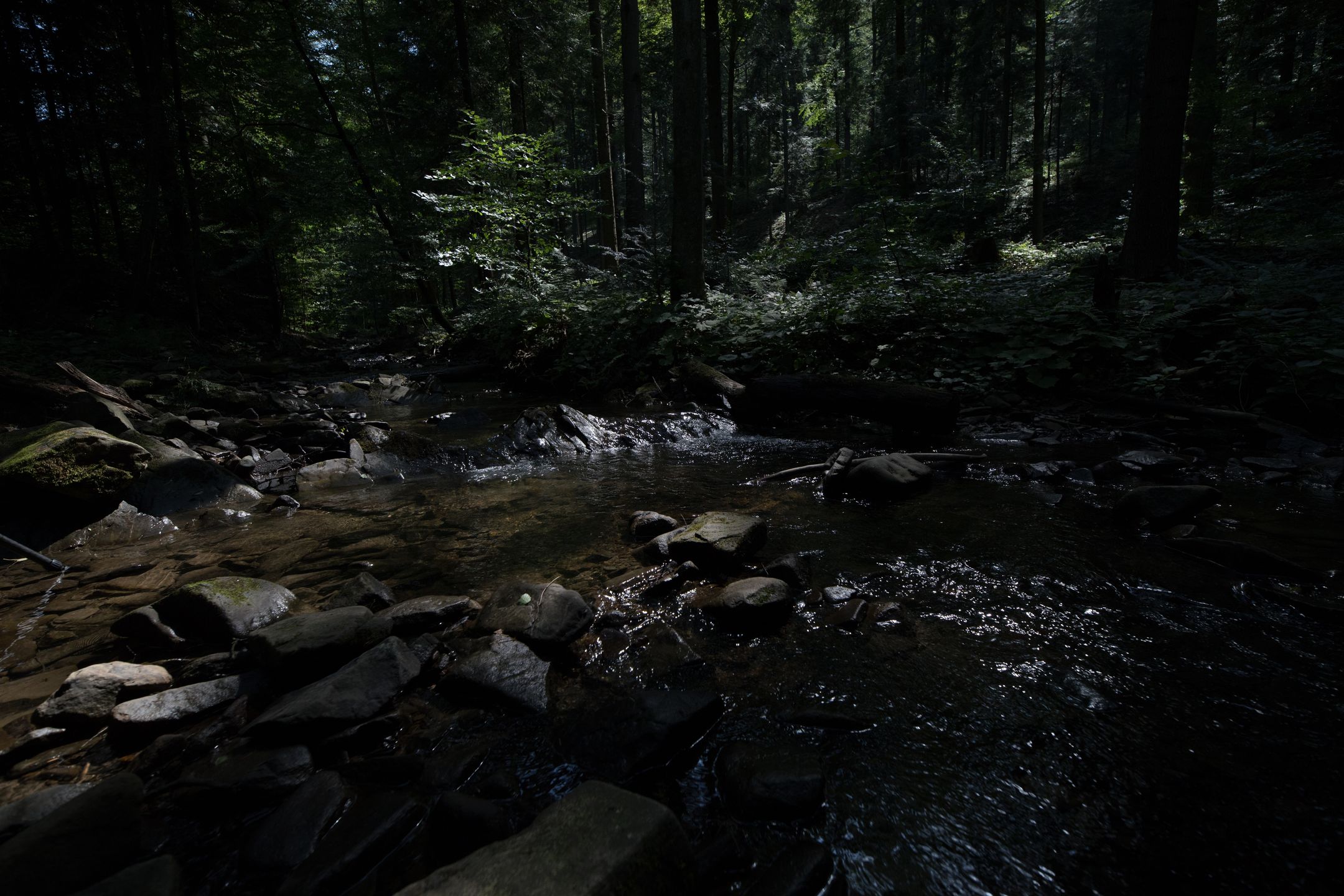 Canon EOS 6D Mark II - test następcy popopularnej pełnoklatkowej lustrzanki 86