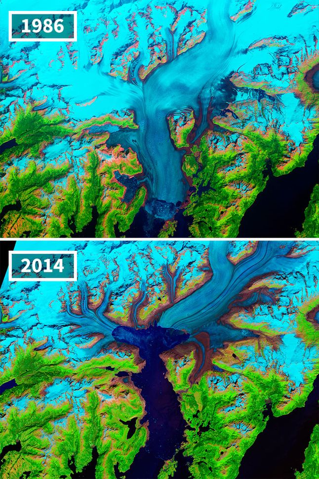 Topniejące lodowce na Alasce