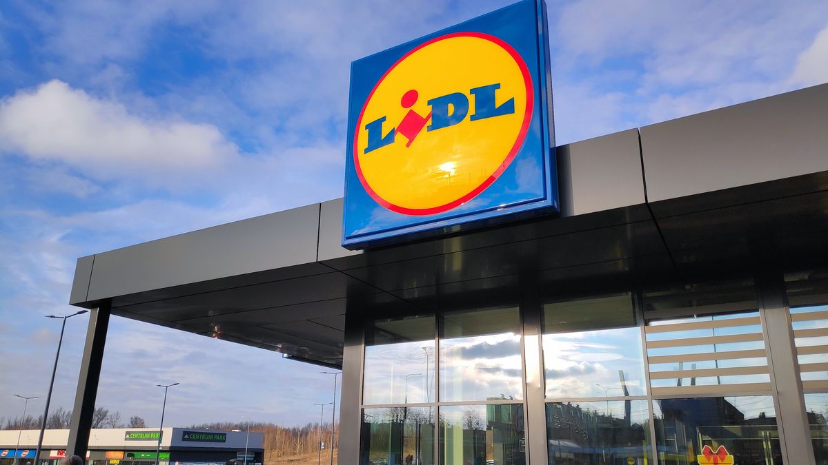 Promocje w Lidlu