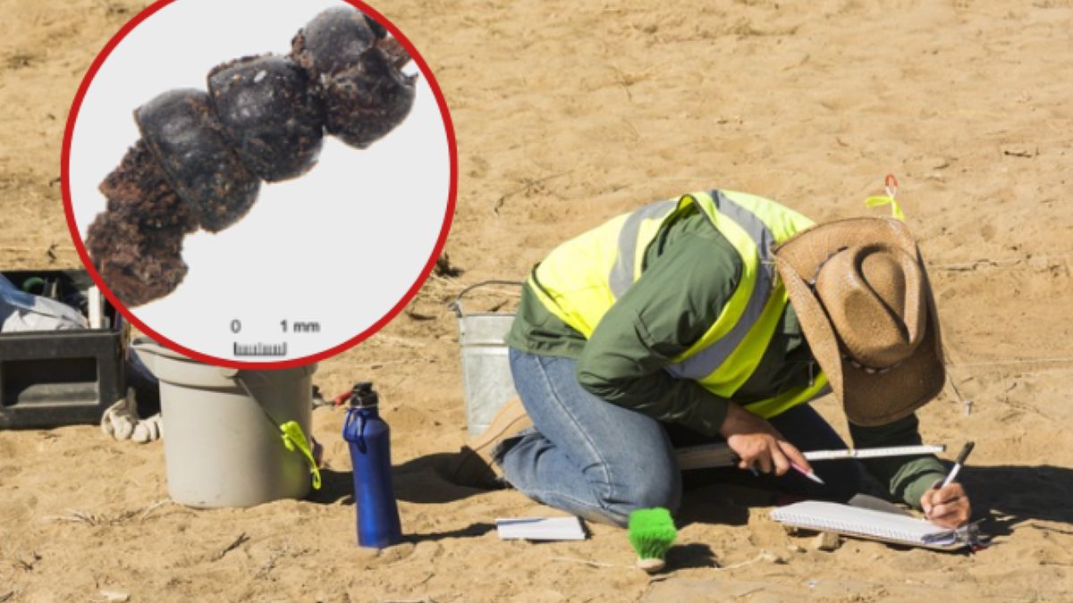 Biżuteria z chrząszczy w dziecięcej urnie sprzed  2,5 tys. lat