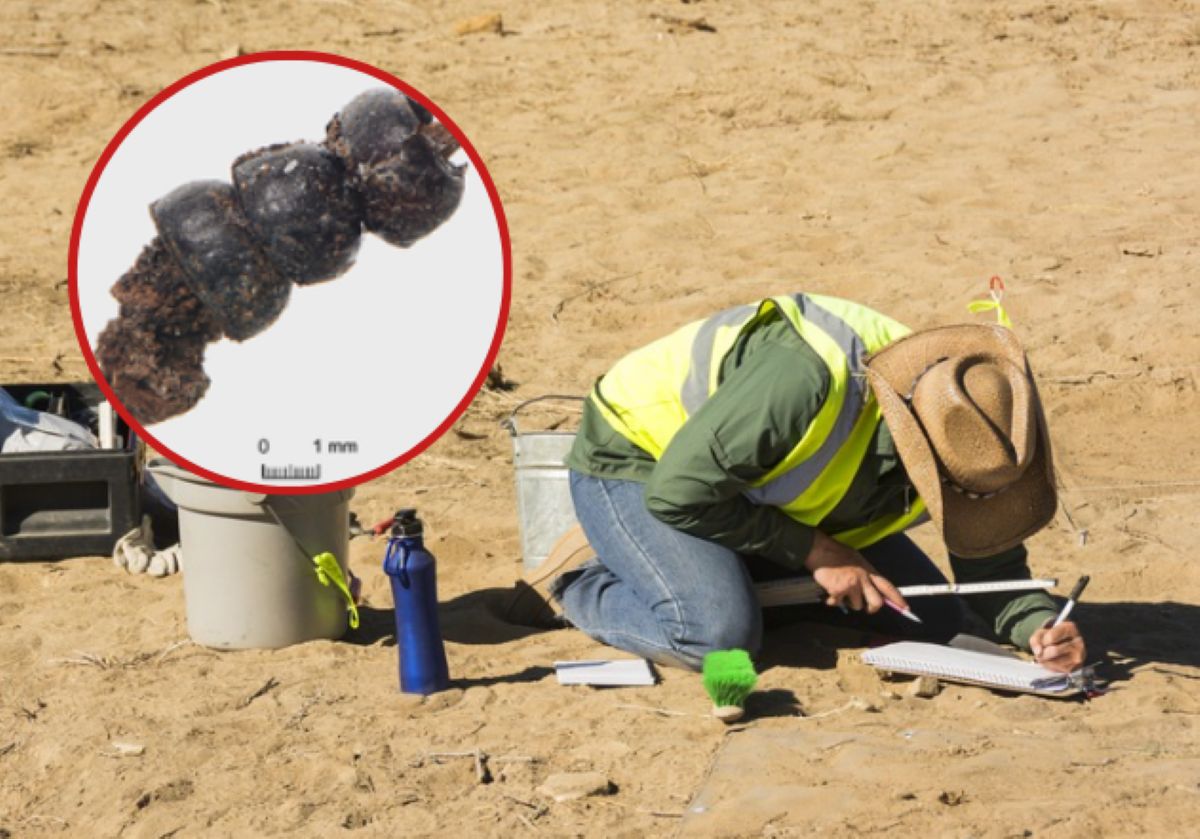 Biżuteria z chrząszczy sprzed 2,5 tys. lat. Znaleziono ją w urnie dziecka