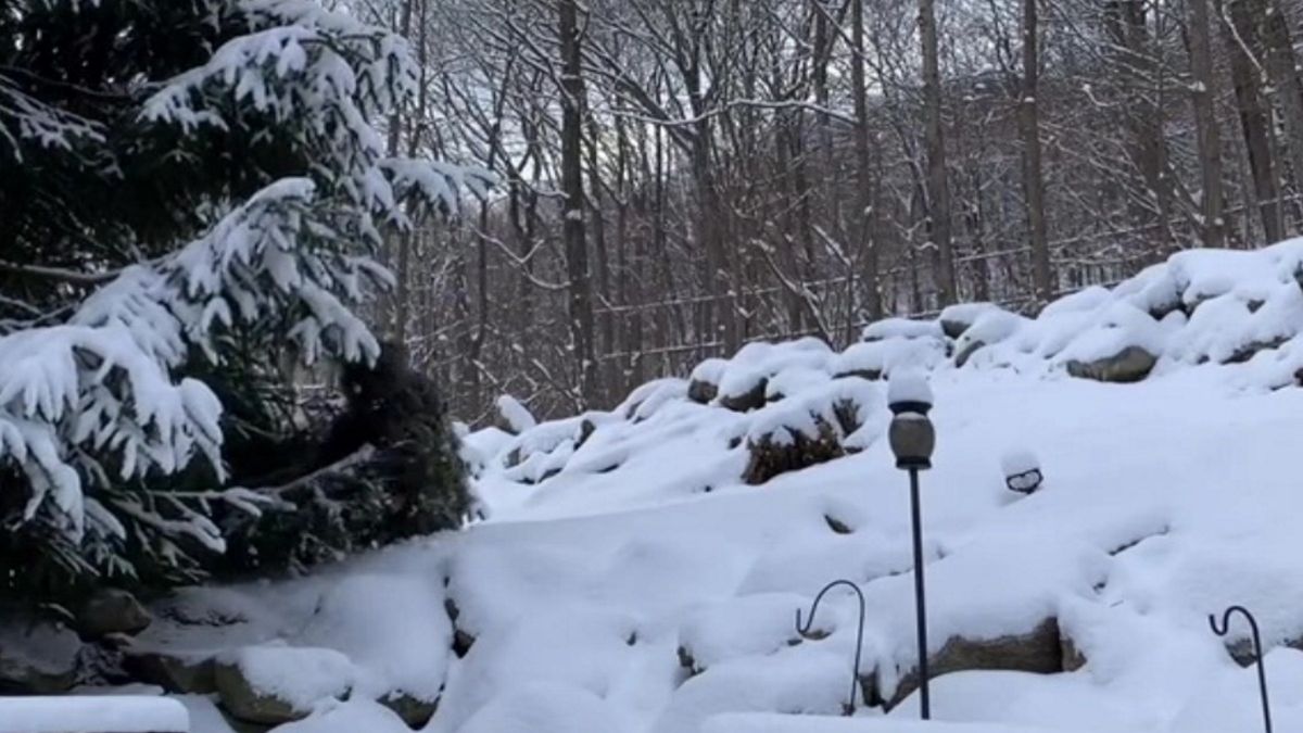 Potrafisz dostrzec, gdzie kryje się snajper?