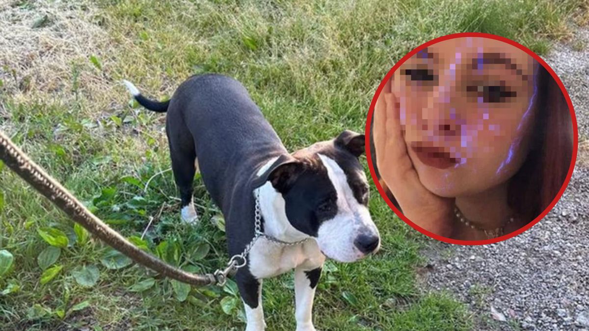 Para postanowiła porwać psa, którym opiekowała się nastolatka