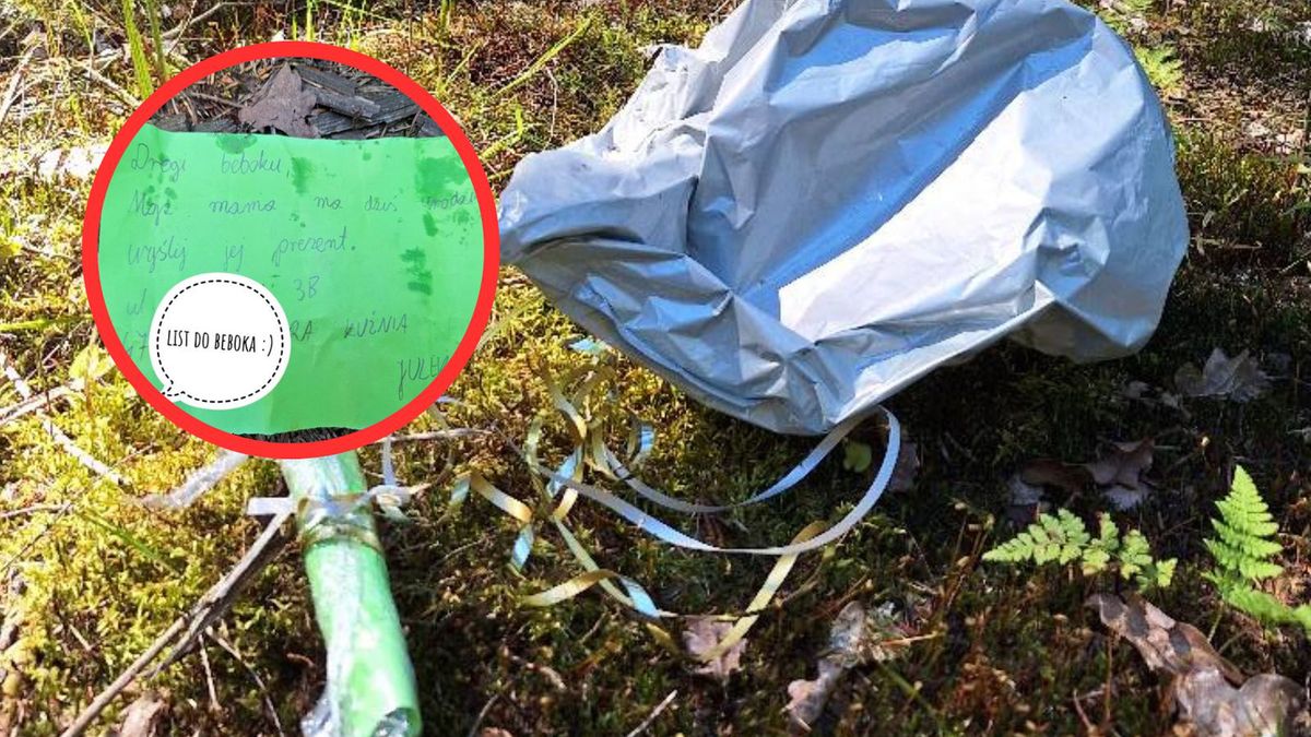 List znaleziony w lesie koło Suchedniowa