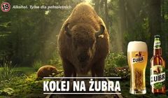 Żubr z kolejnymi zwierzętami w reklamach „Kolej na Żubra” (wideo)