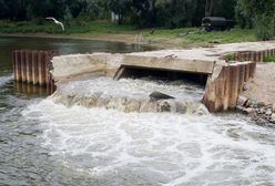 "Czajka". Ustalenia po sztabie kryzysowym