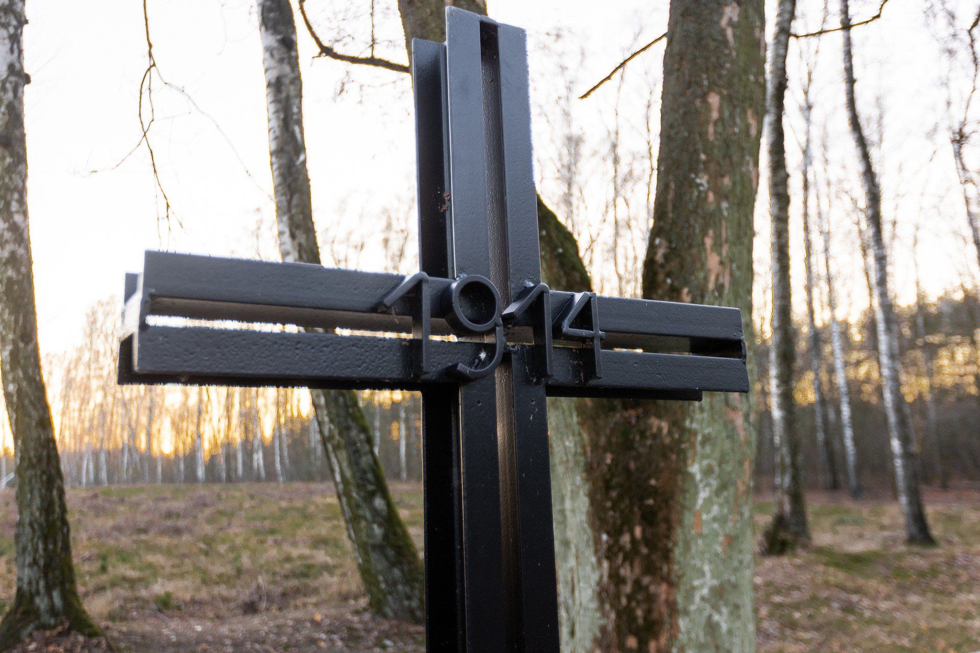 W czasie I wojny światowej wielu z naszych rodaków zostało wcielonych i zmuszonych do wali w obcych armiach.