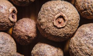 Powinno być obowiązkowe w diecie kobiet po 50-tce. Kupisz w każdym sklepie