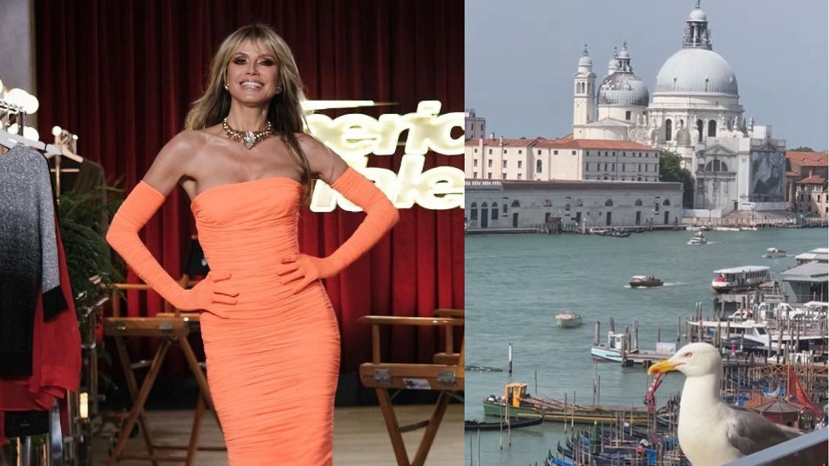 Koszmar Heidi Klum. Mewa zepsuła jej randkę. 