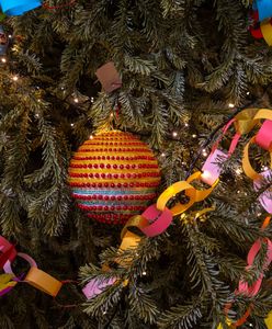 Choinka z lasu. Oto ile kosztuje w nadleśnictwie