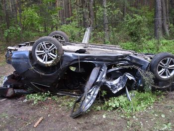 Uderzyli w łosia, drzewo i betonowy słup. Nie żyją dwie osoby