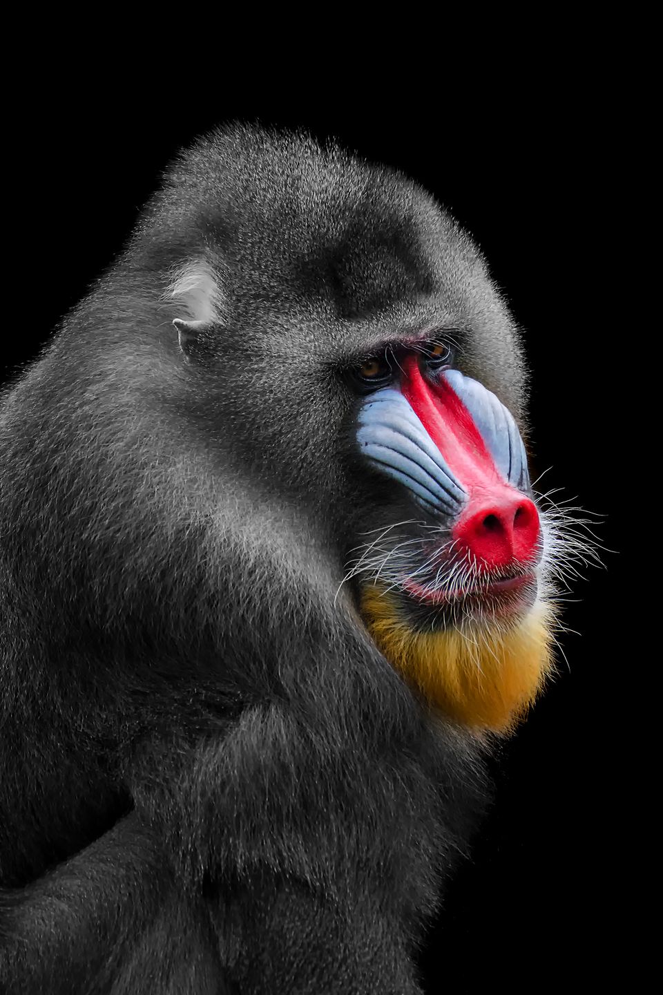Sony World Photography Awards 2018 - pierwsze zgłoszenia pokazują potencjał konkursu 22