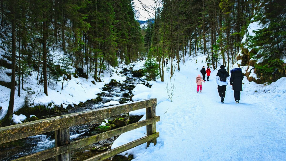 Tatrzański Park Narodowy (zdj. ilustracyjne) 