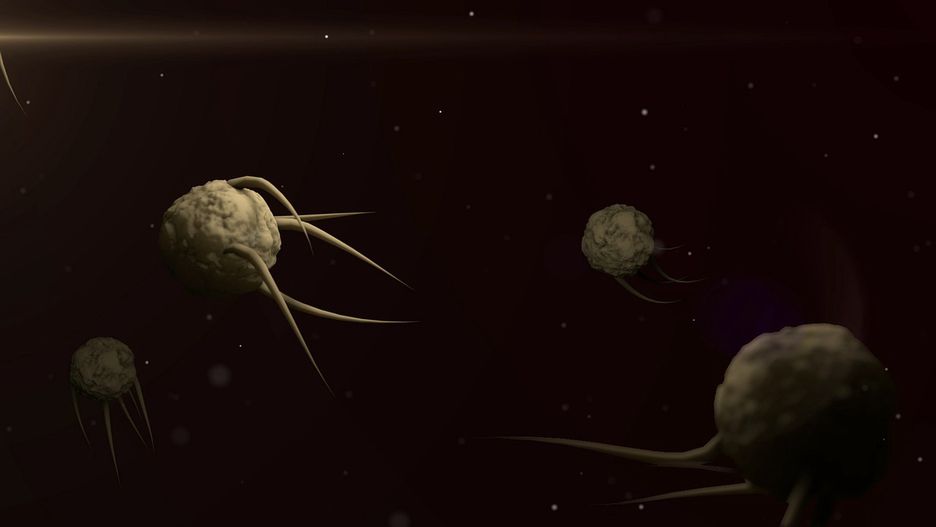 Koronawirus. Objawy mogą się zmieniać