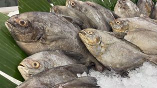 W innych krajach zakazano jej sprzedaży. W Polsce nadal jest dostępna