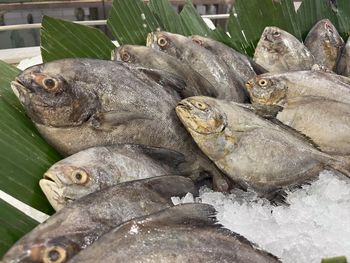 W innych krajach zakazano jej sprzedaży. W Polsce nadal jest dostępna