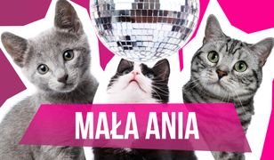 MiauCzat: Mała Ania z "Warsaw Shore” szczerze o siostrach Godlewskich