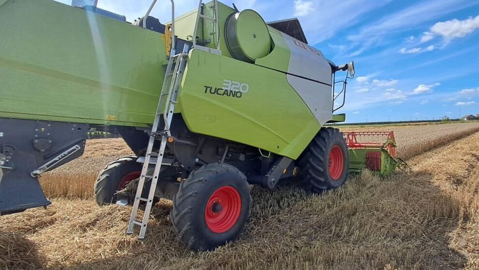 Zielony kombajn zbożowy na polu, zbierający ziarna pod niebieskim niebem.