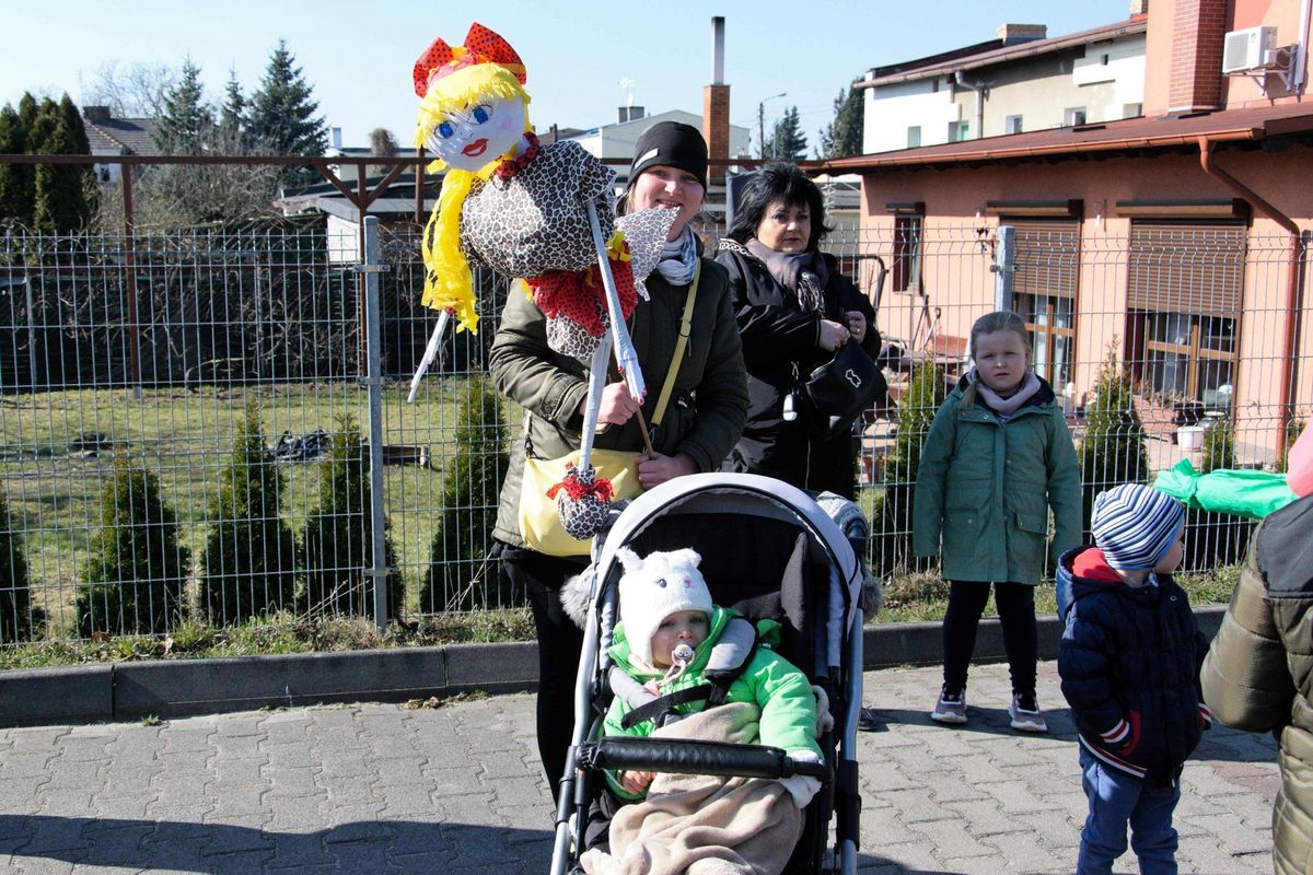 zdjęcie