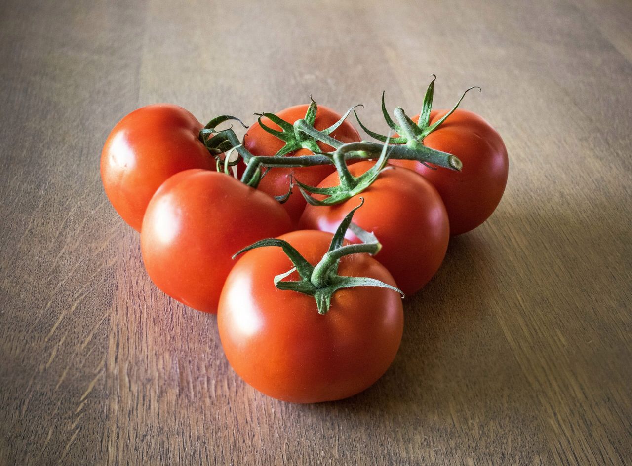 Łodyga pomidora. Fot. Pexels