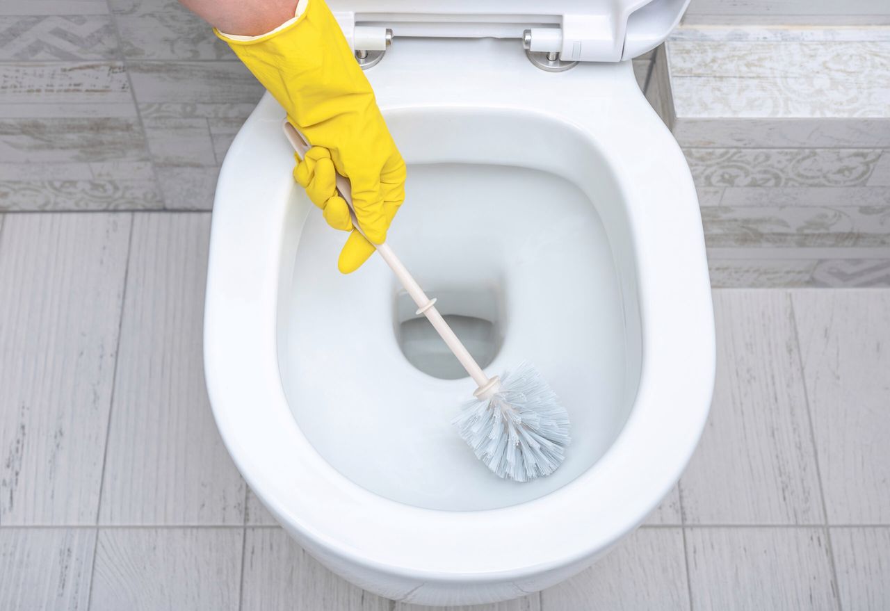 Deep Cleaning service. cleaning wc. Professional cleaner washing toilet. Brush up Toilet for cleanliness and hygiene. cleaning toilet bowl. Toilet scrubbing