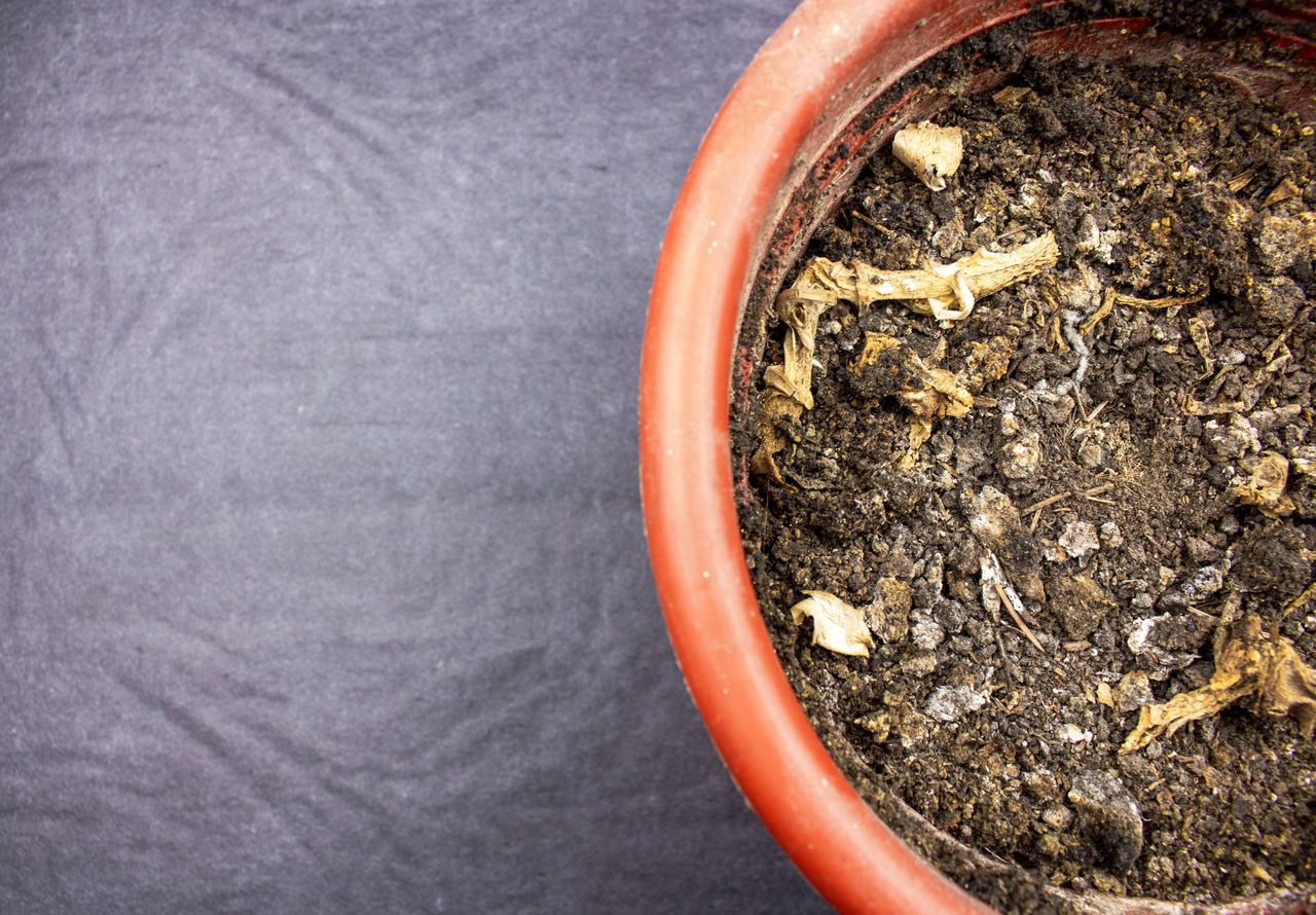 The Pot with old dry soil with place for text.Old dry dead soil ground in a flower pot.