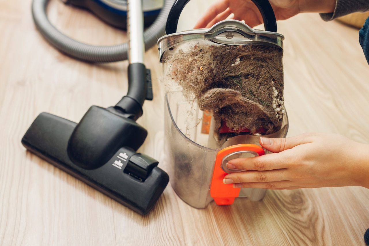 Woman opening dust filter out of vacuum cleaner at home on floor. Container full of dirt and cat's hair. Housekeeping
