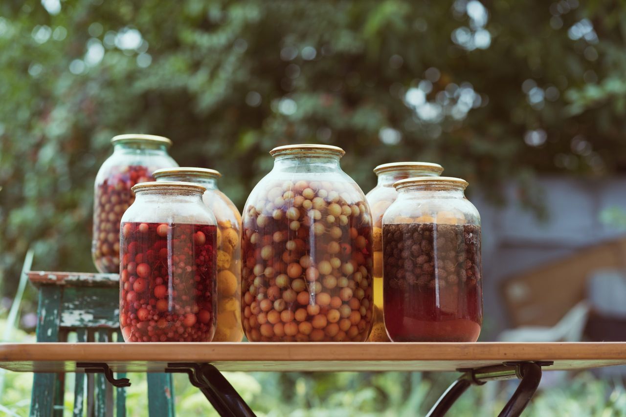 Jars with kompot on table. Sealed glass jars with kompot placed on table near flowers and fruits on summer day in garden.