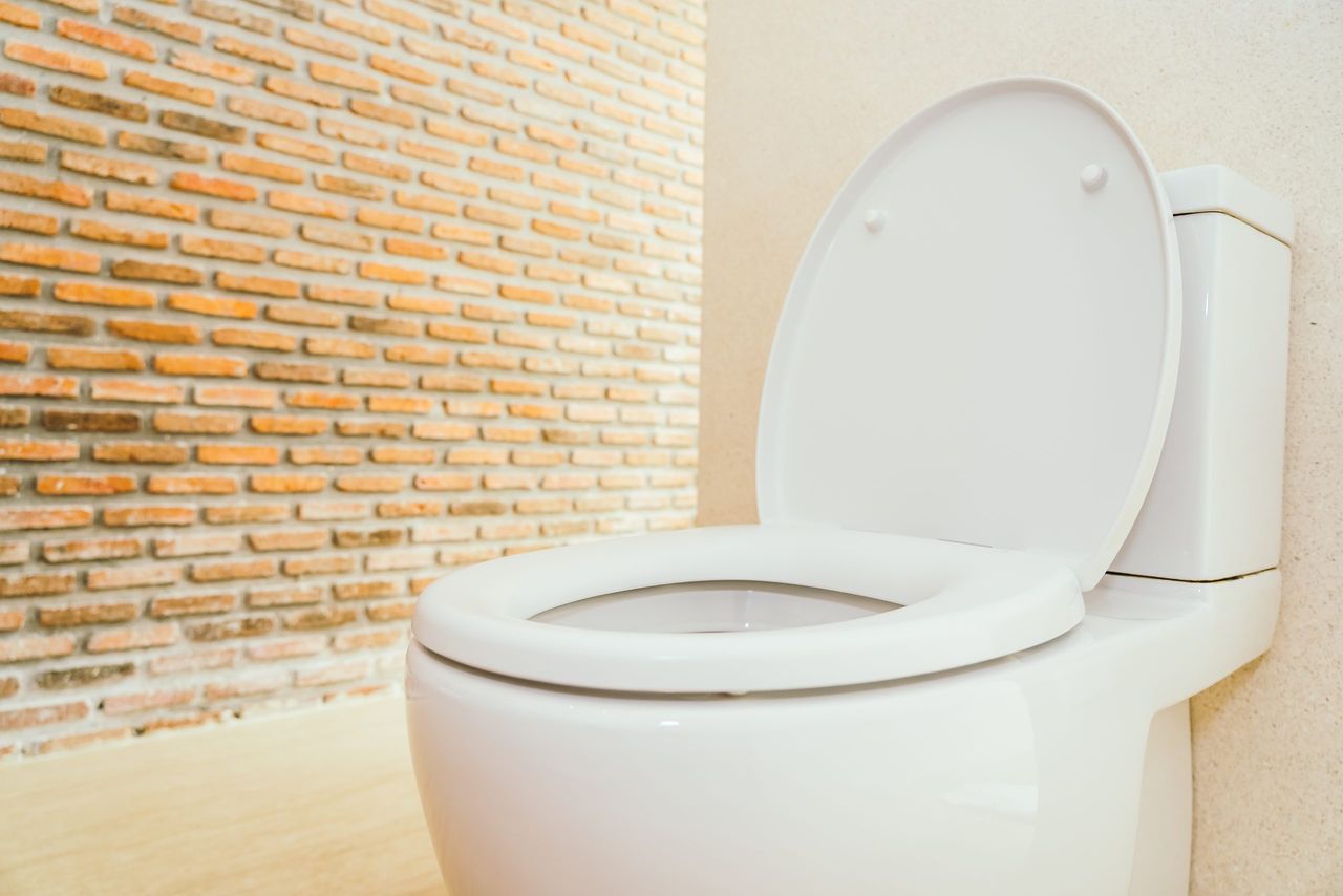 White toilet bowl and seat decoration interior of bathroom