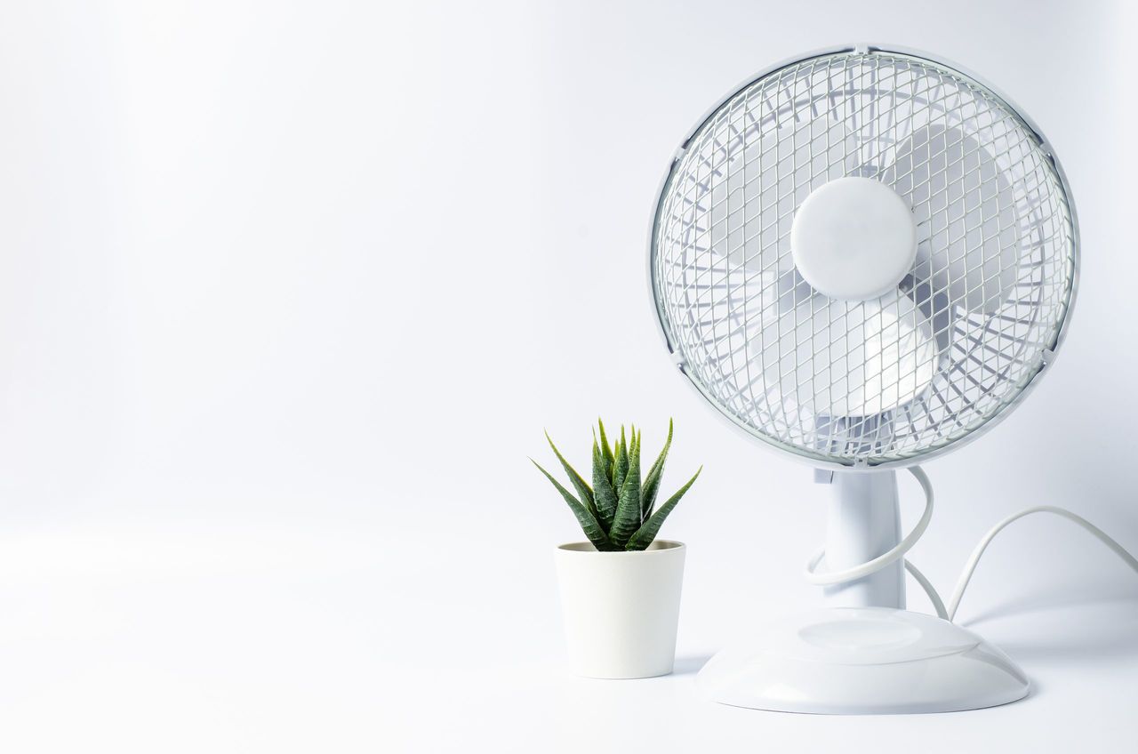 Table fan and succulent flower on white background. Cooling in the room in hot weather. Copy space