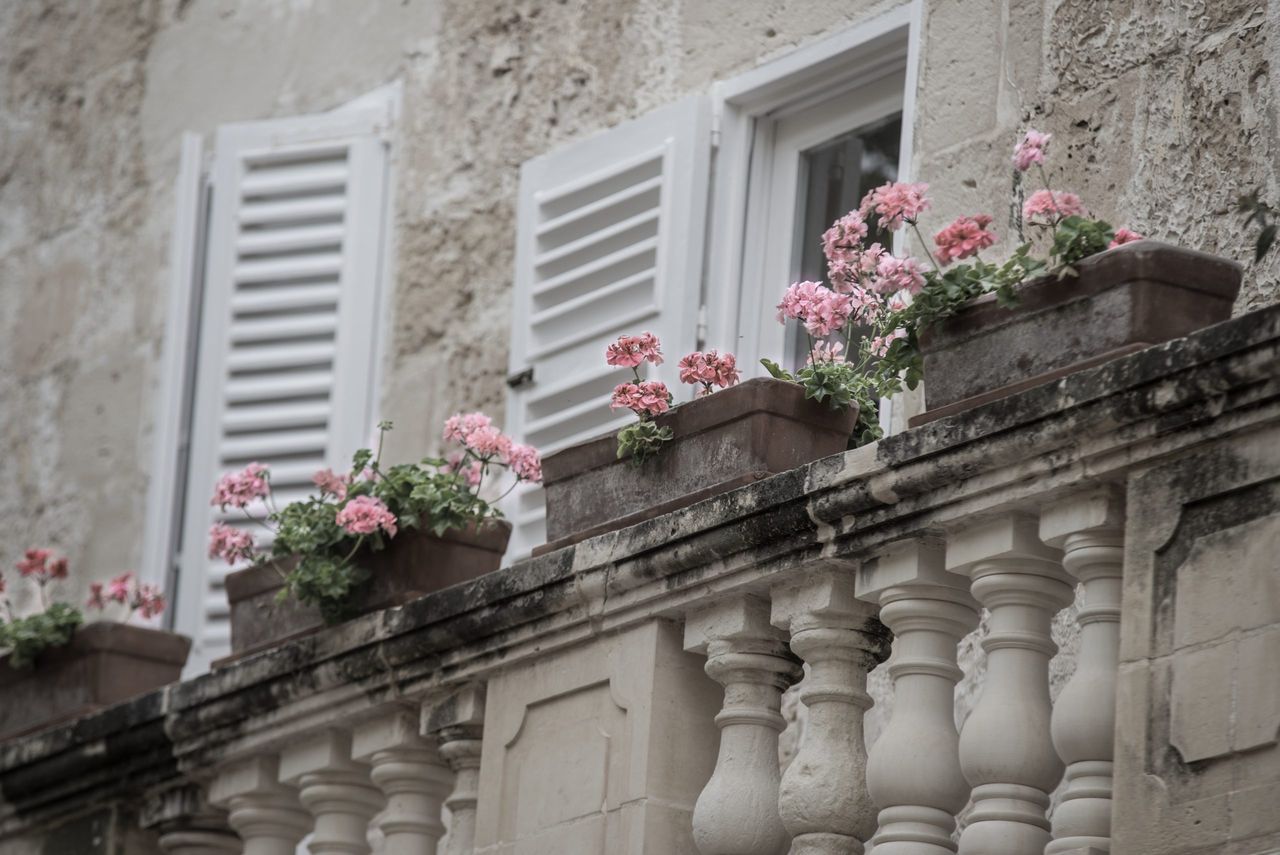 A selective shot of pink flowers in pots on a balcony of a house with stone walls and white windows