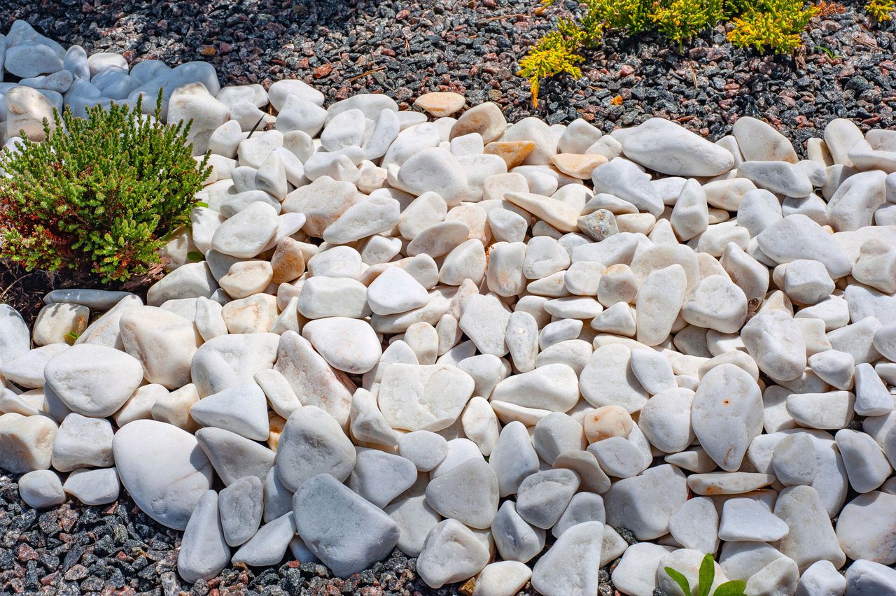 Pebbles, small white stones, the texture of the stone. Flower bed design