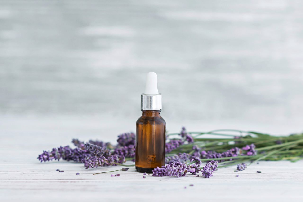 Lavender herbal oil and lavender flowers on grey wooden background. Copy sapce.