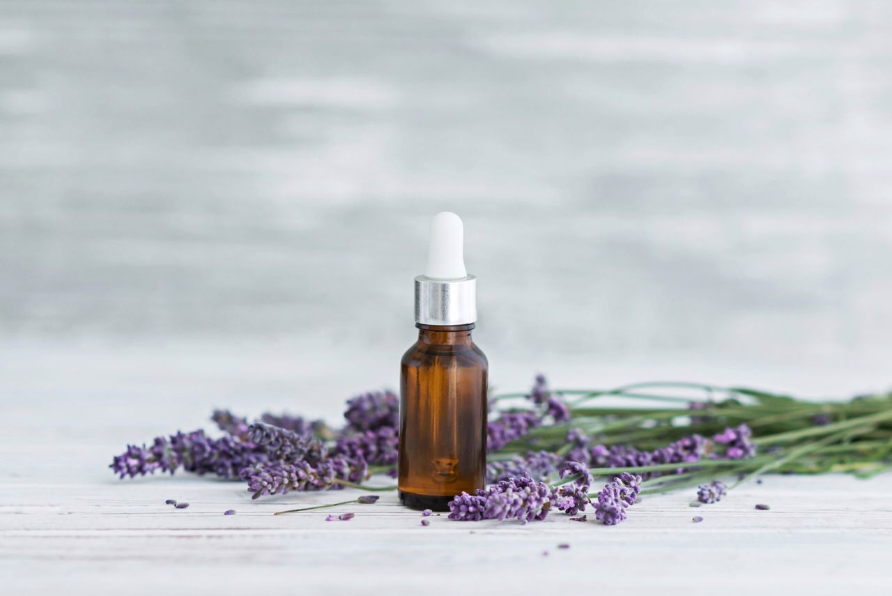 Lavender herbal oil and lavender flowers on grey wooden background. Copy sapce.