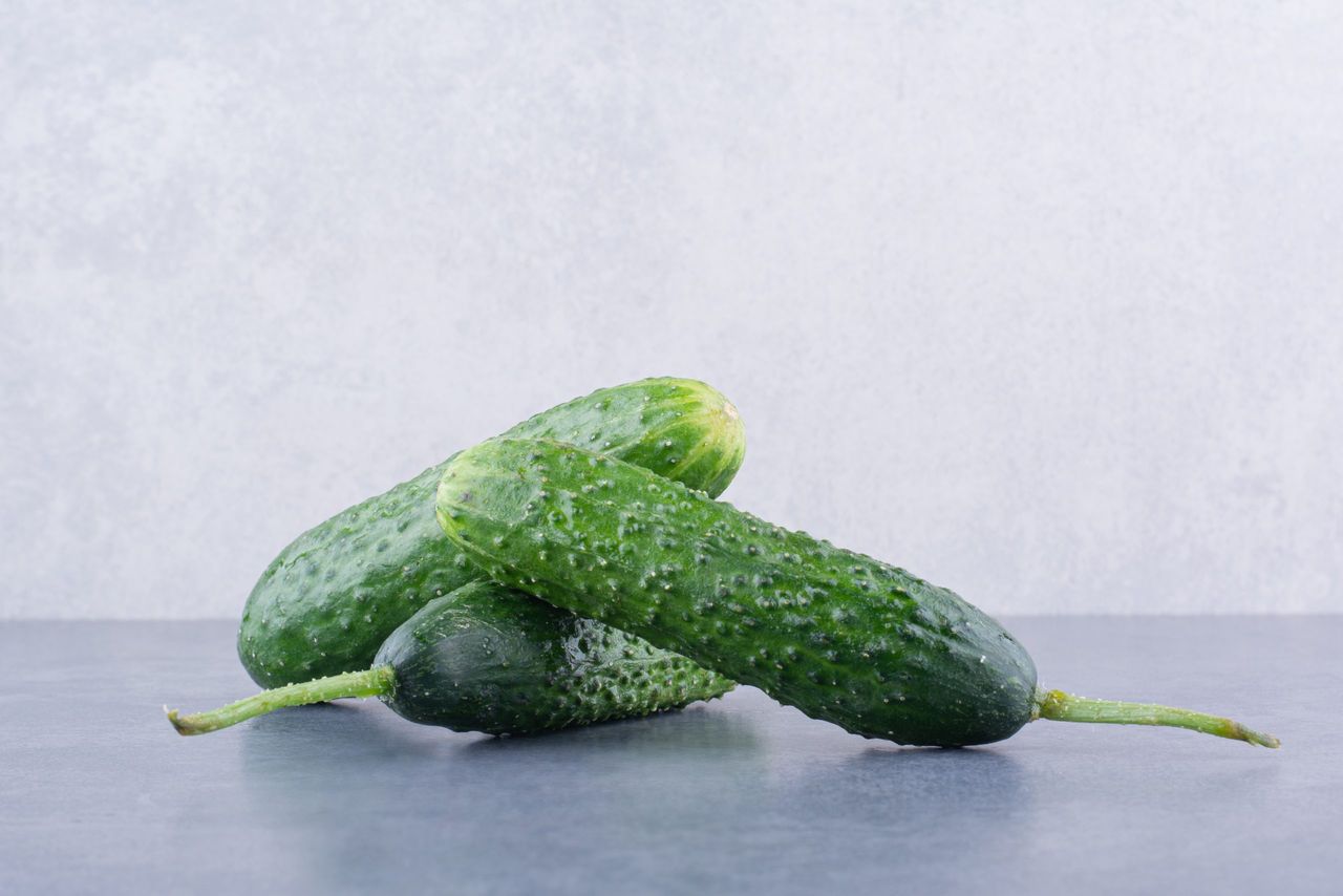 Green cucumbers isolated on blue background. High quality photo