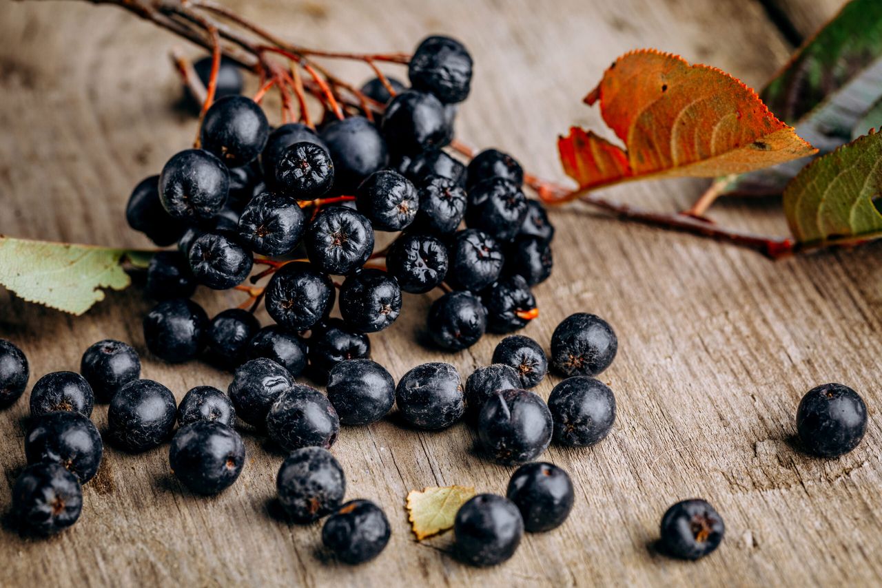 Chokeberry (Aronia melanocarpic) on a wooden table