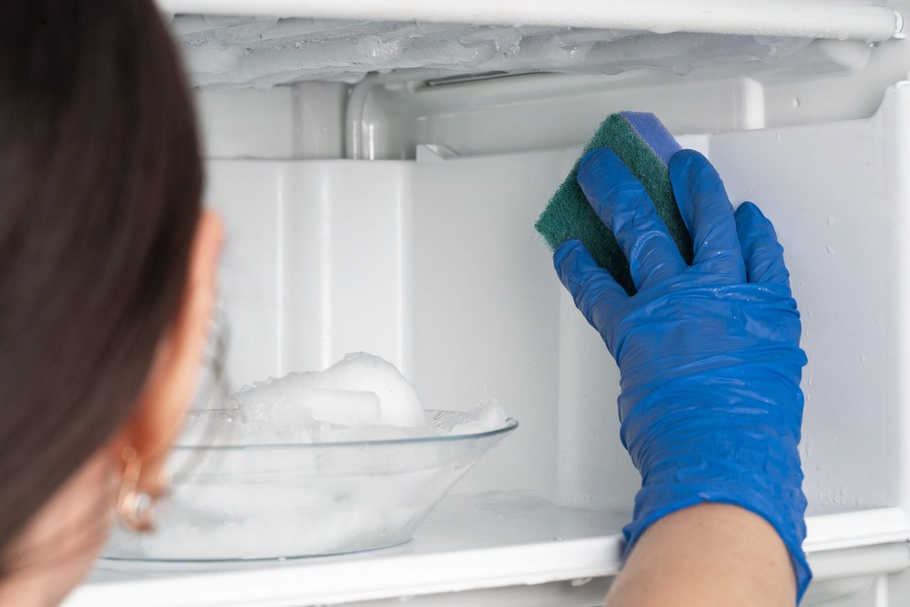 The girl washes the freezer. Cleaning the refrigerator.