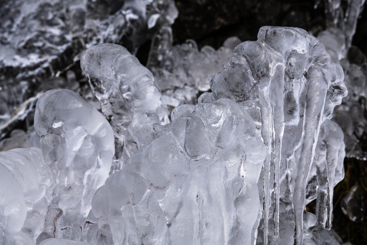 A closeup shot of beautiful icicles on the trees