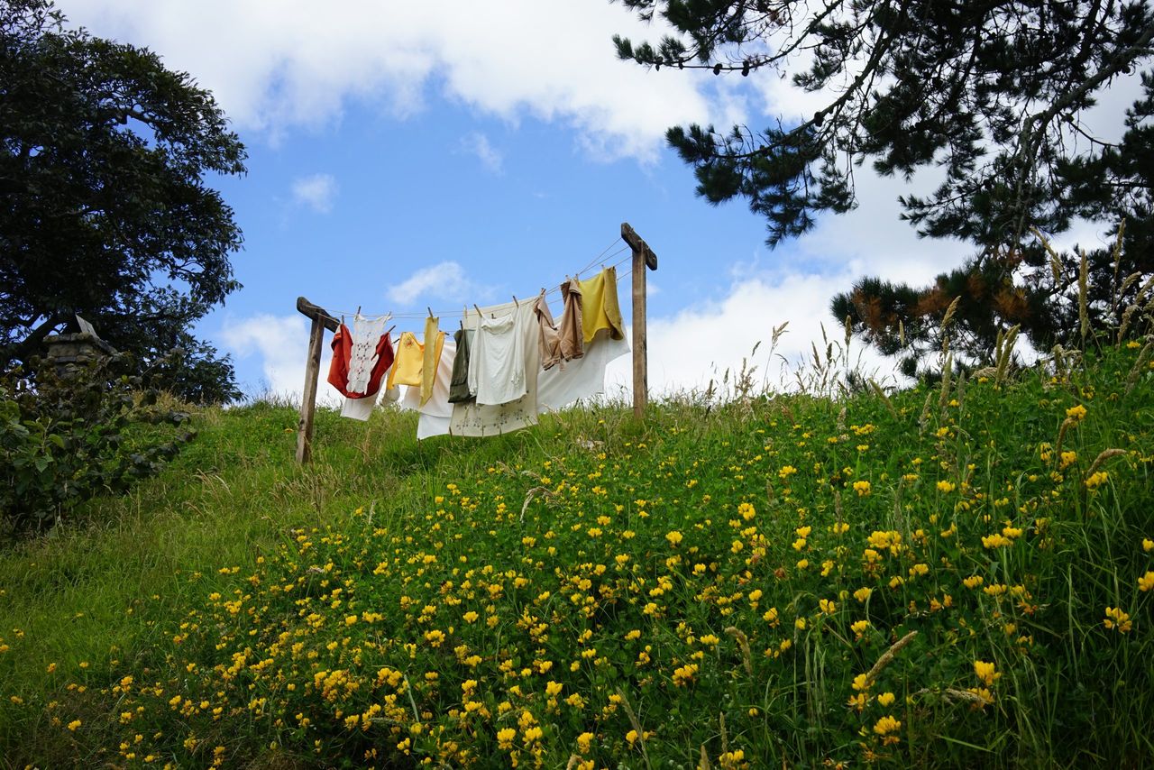 A beautiful shot of newly washed clothes getting dried in the garden under a blue sky